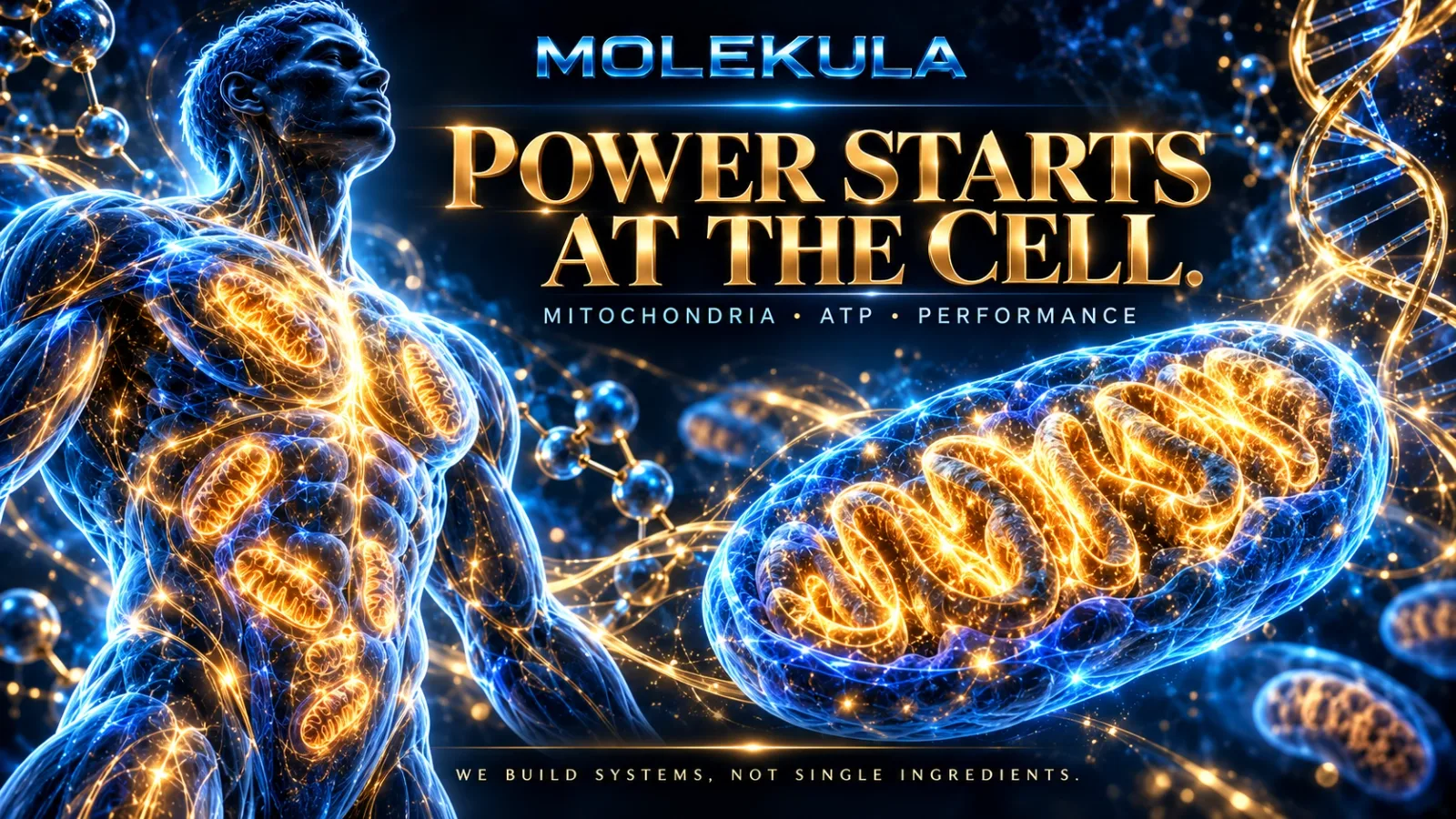 Molekula Cellular Power Poster