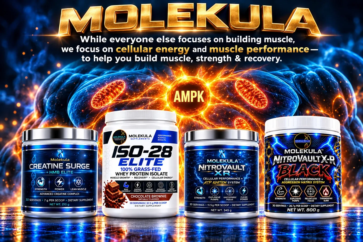 Molekula Shop Campaign 4