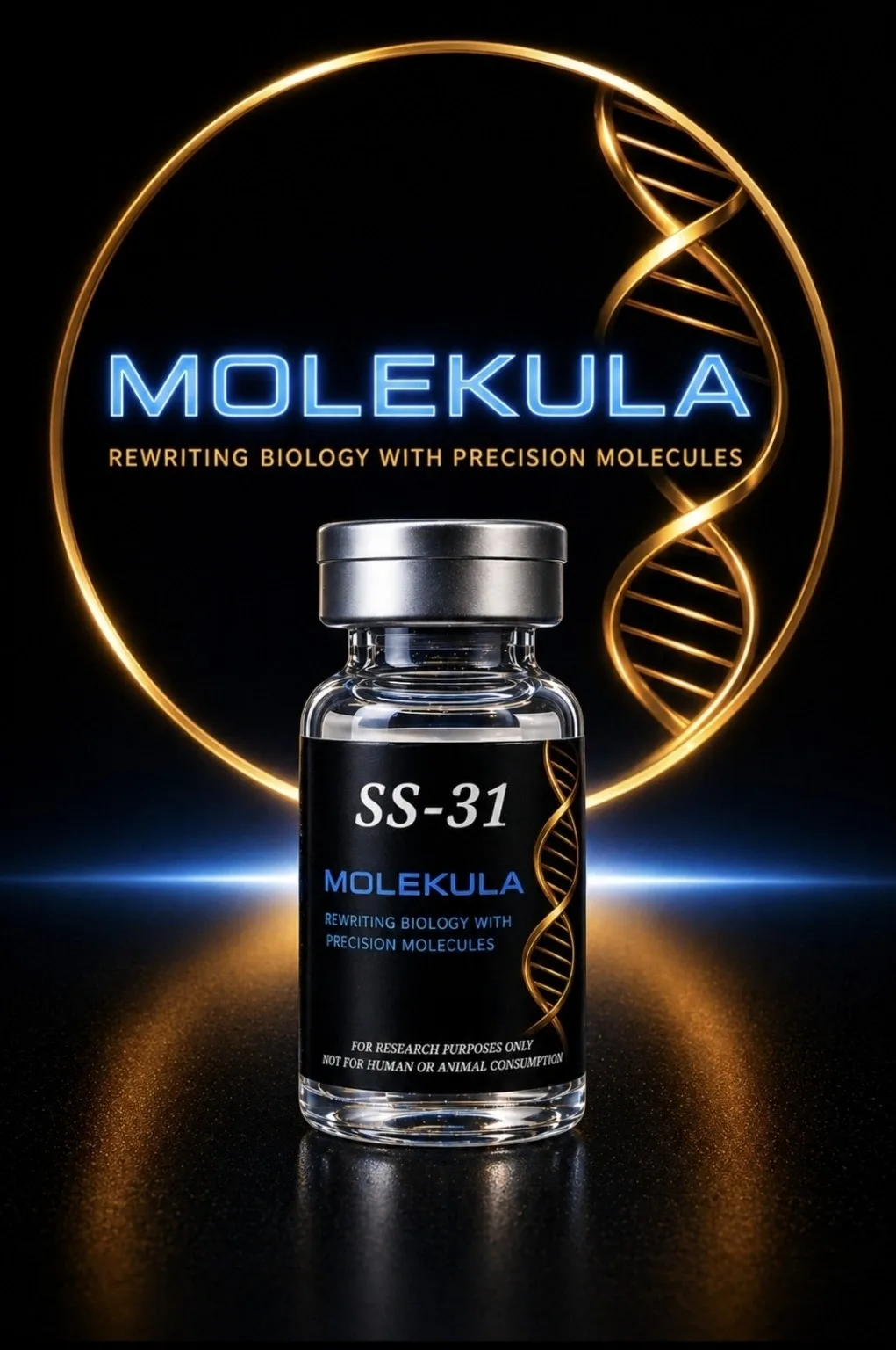 Molekula Vial Ss31